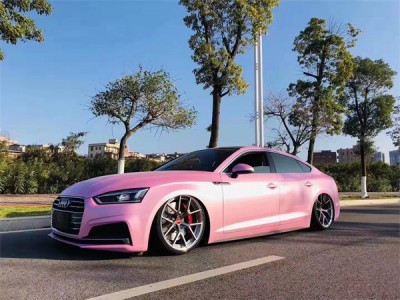 Pink pose Audi A5 slammedenuff Low lying display