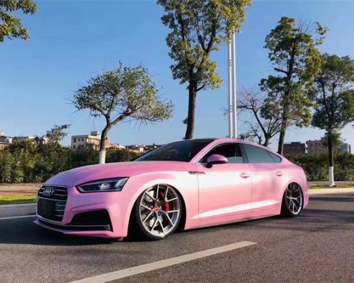 Pink pose Audi A5 slammedenuff Low lying display