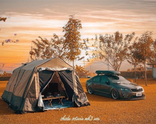 Dream attitude Skoda Octavia slammedenuff super beautiful modified car