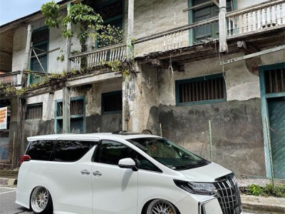 Posture blessing Toyota Alphard30 slammedenuff elegant beauty