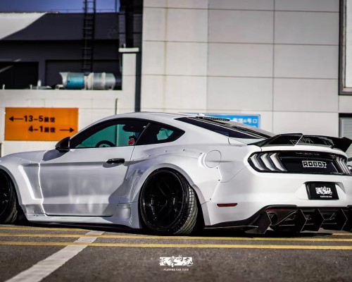 Embracing the Stance Culture: The Ford Mustang Slammedenuff
